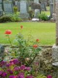 image of grave number 209202